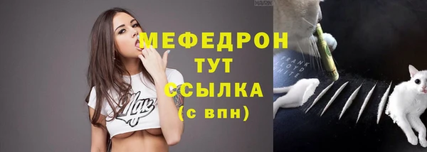 бошки Белокуриха