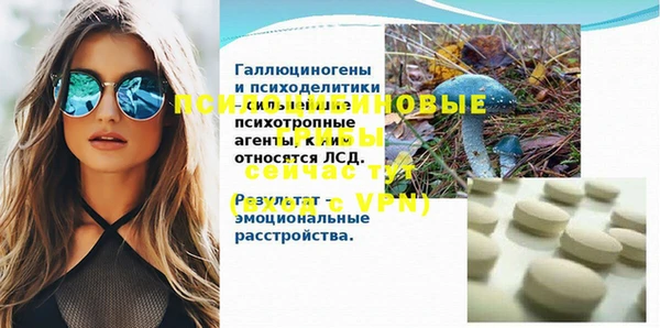 бошки Белокуриха