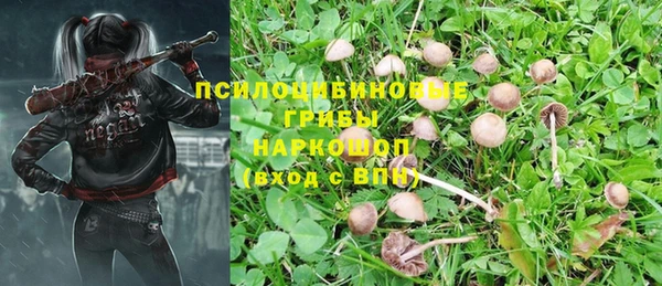 бошки Белокуриха