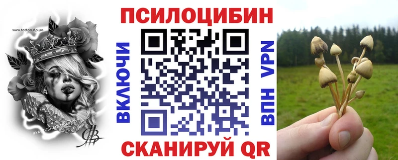 Галлюциногенные грибы Psilocybe Красноперекопск